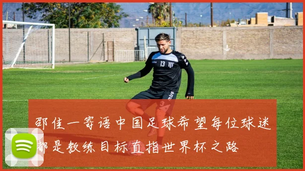 邵佳一寄语中国足球希望每位球迷都是教练目标直指世界杯之路
